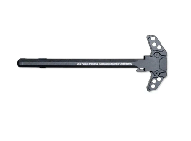 skeletonized